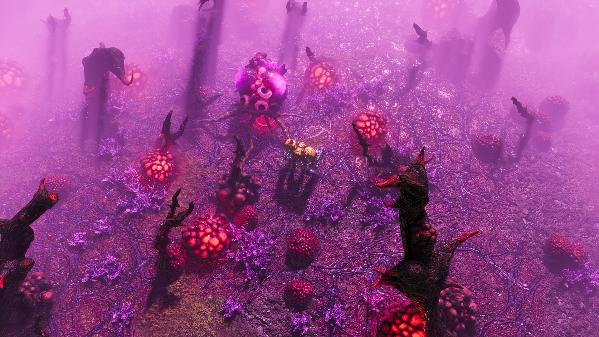 screenshot2