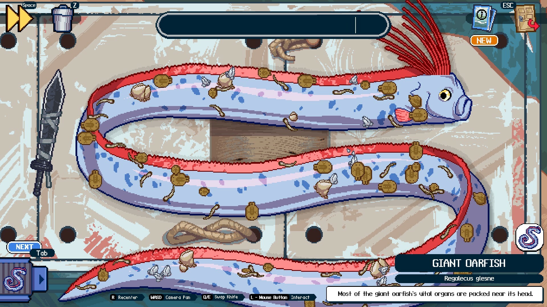 screenshot8