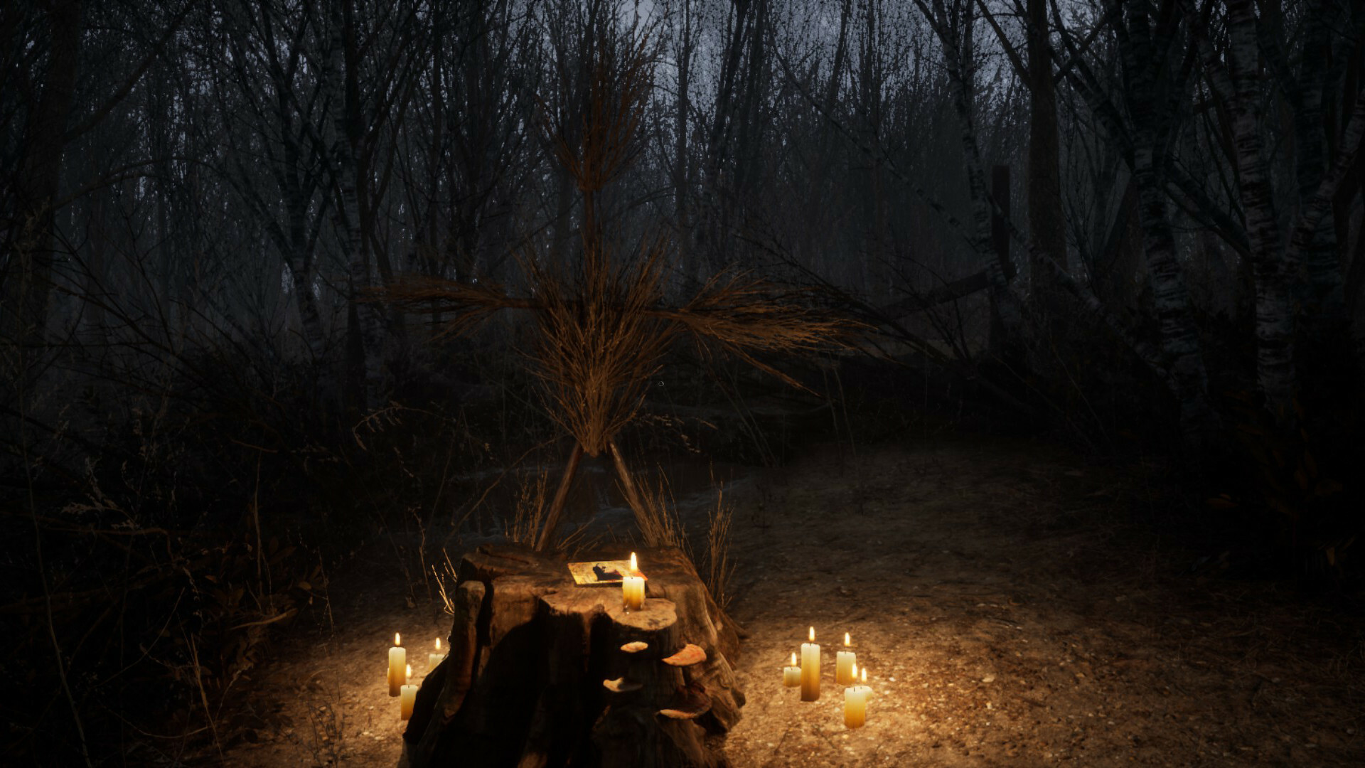 screenshot8