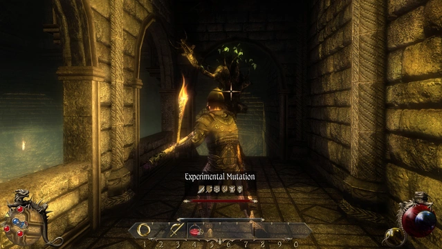 #8. Two Worlds II: Echoes of the Dark Past 2 (GOG) Podle: TopWare Interactive