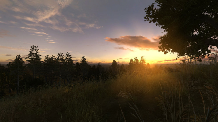 S.T.A.L.K.E.R. Anomaly — 10