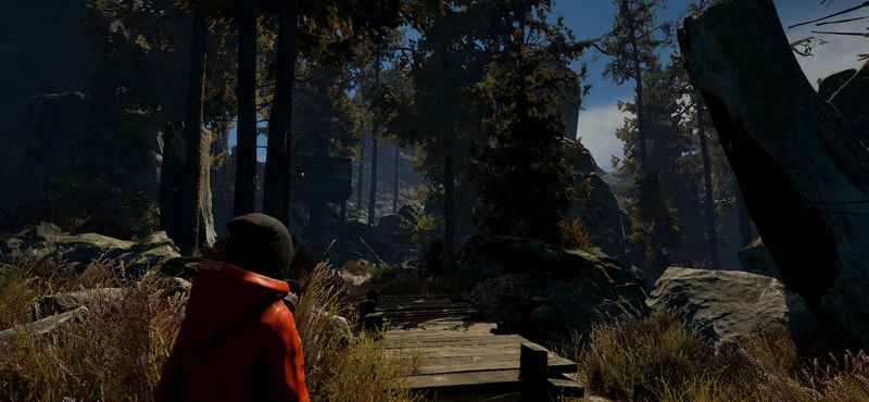 Through the Woods: Collector's Edition Upgrade - image 4