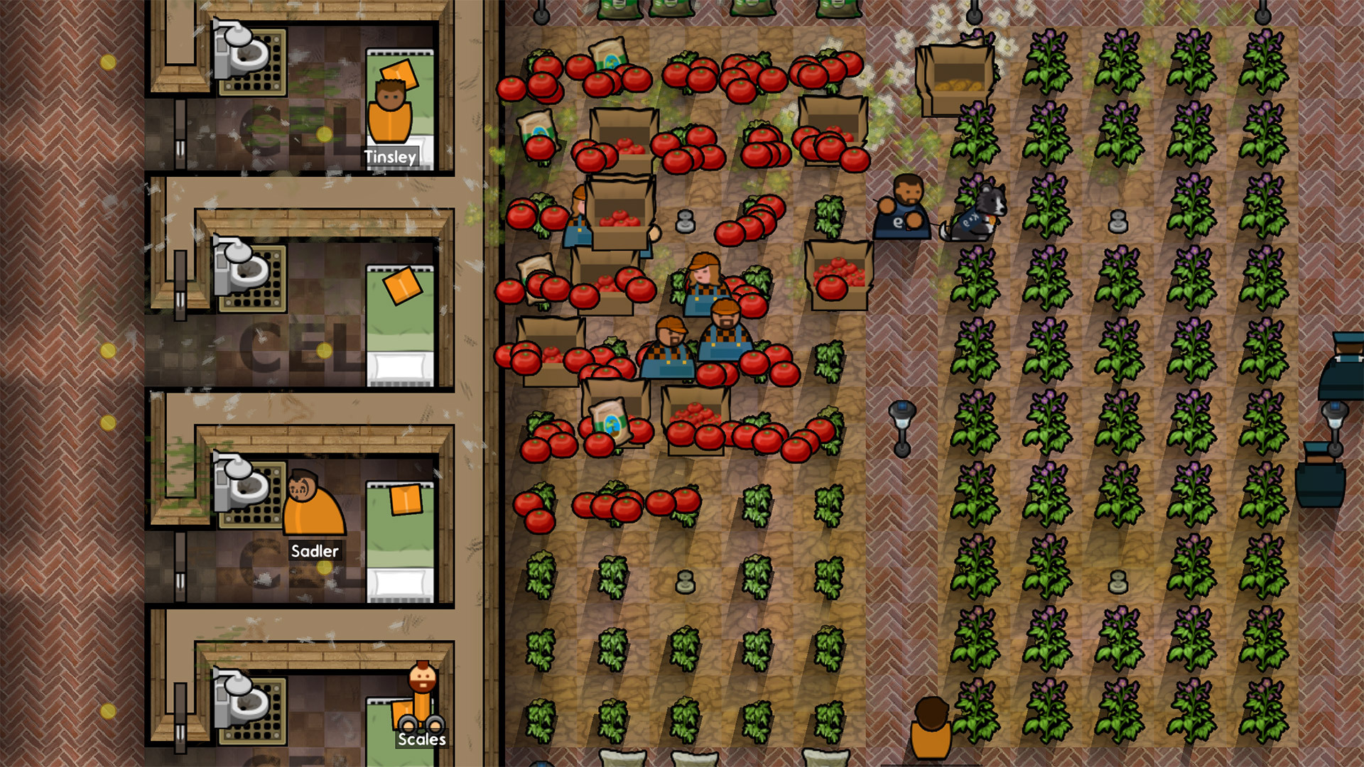 screenshot6