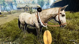 Screenshot 29