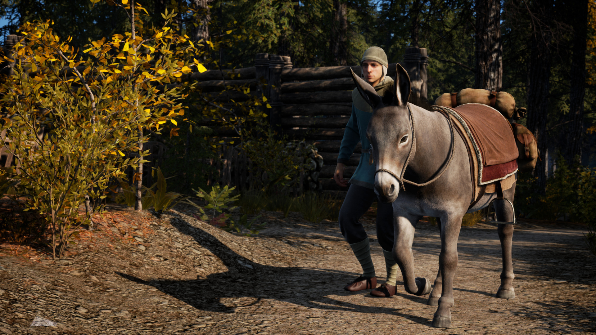screenshot8