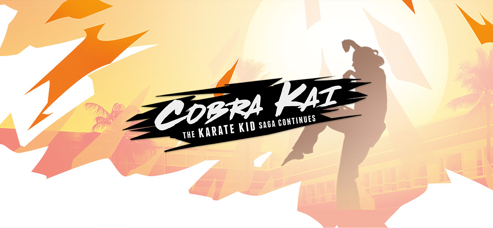 Cobra Kai: The Karate Kid Saga Continues banner