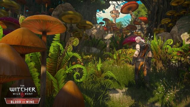 The Witcher 3: Wild Hunt Review - Choice On A Grand Scale - Game Informer