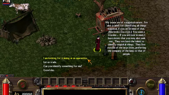 #10. Arcanum: Of Steamworks and Magick Obscura (GOG) 由: Activision