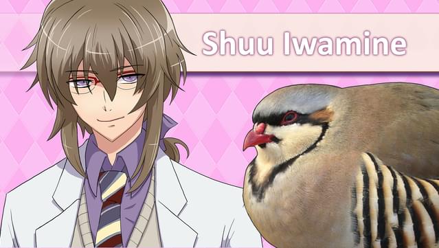 hatoful boyfriend collectors edition difference