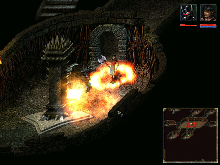 Beyond Divinity screenshot 1