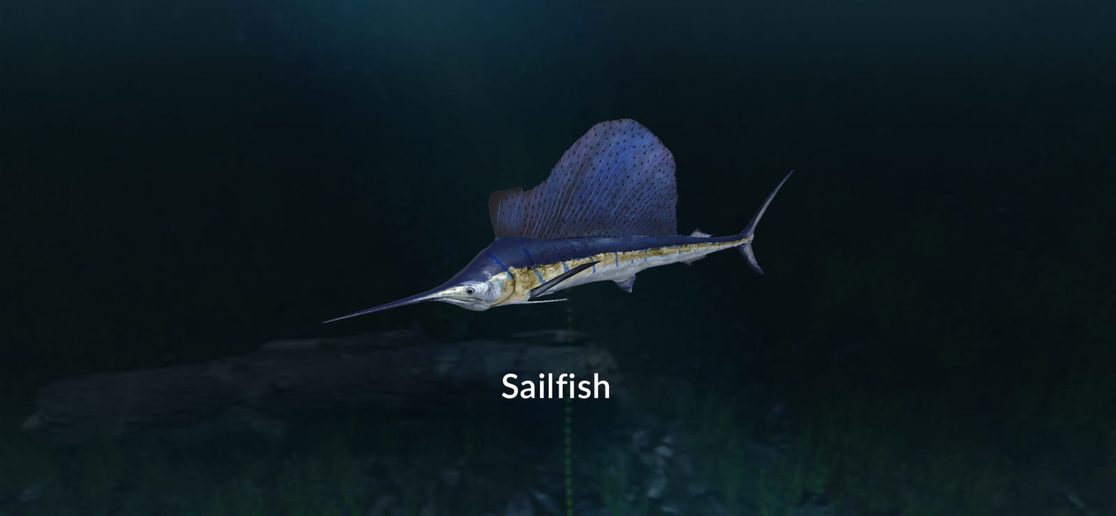 Ultimate Fishing Simulator - New Fish Species DLC