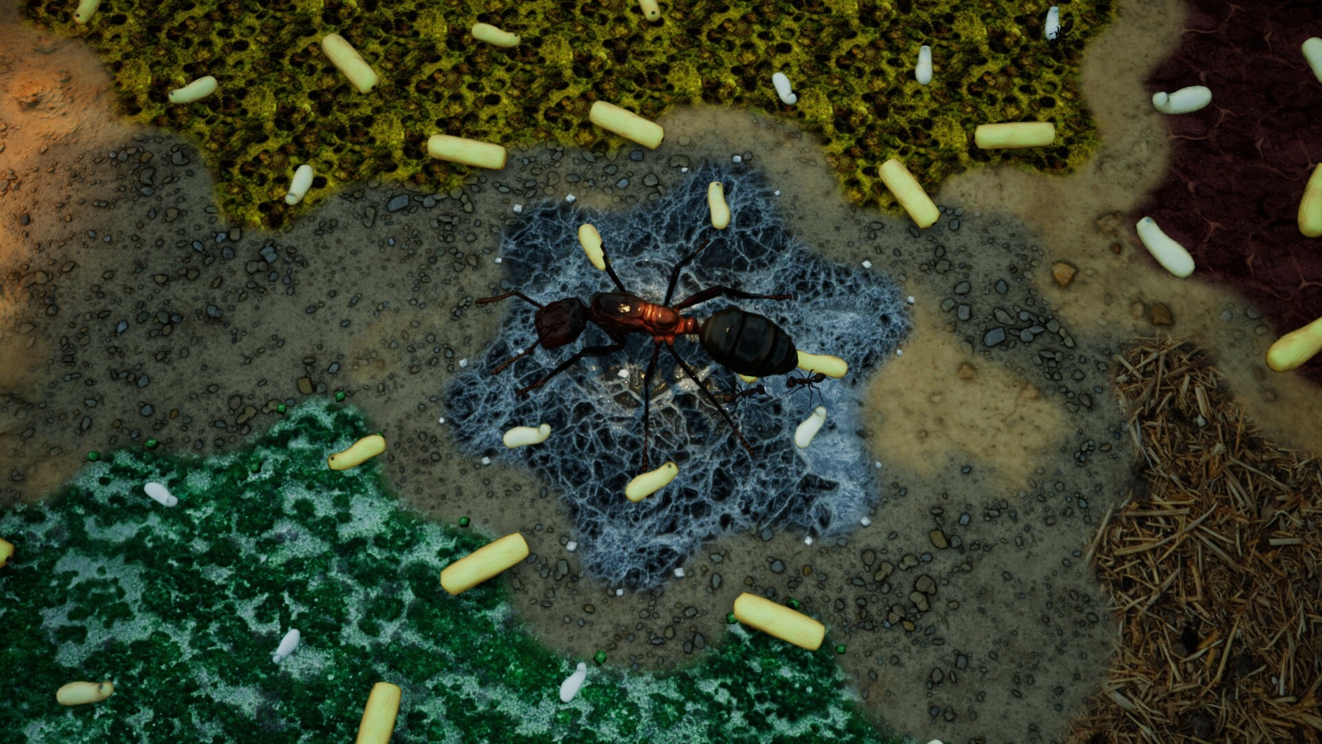 screenshot9