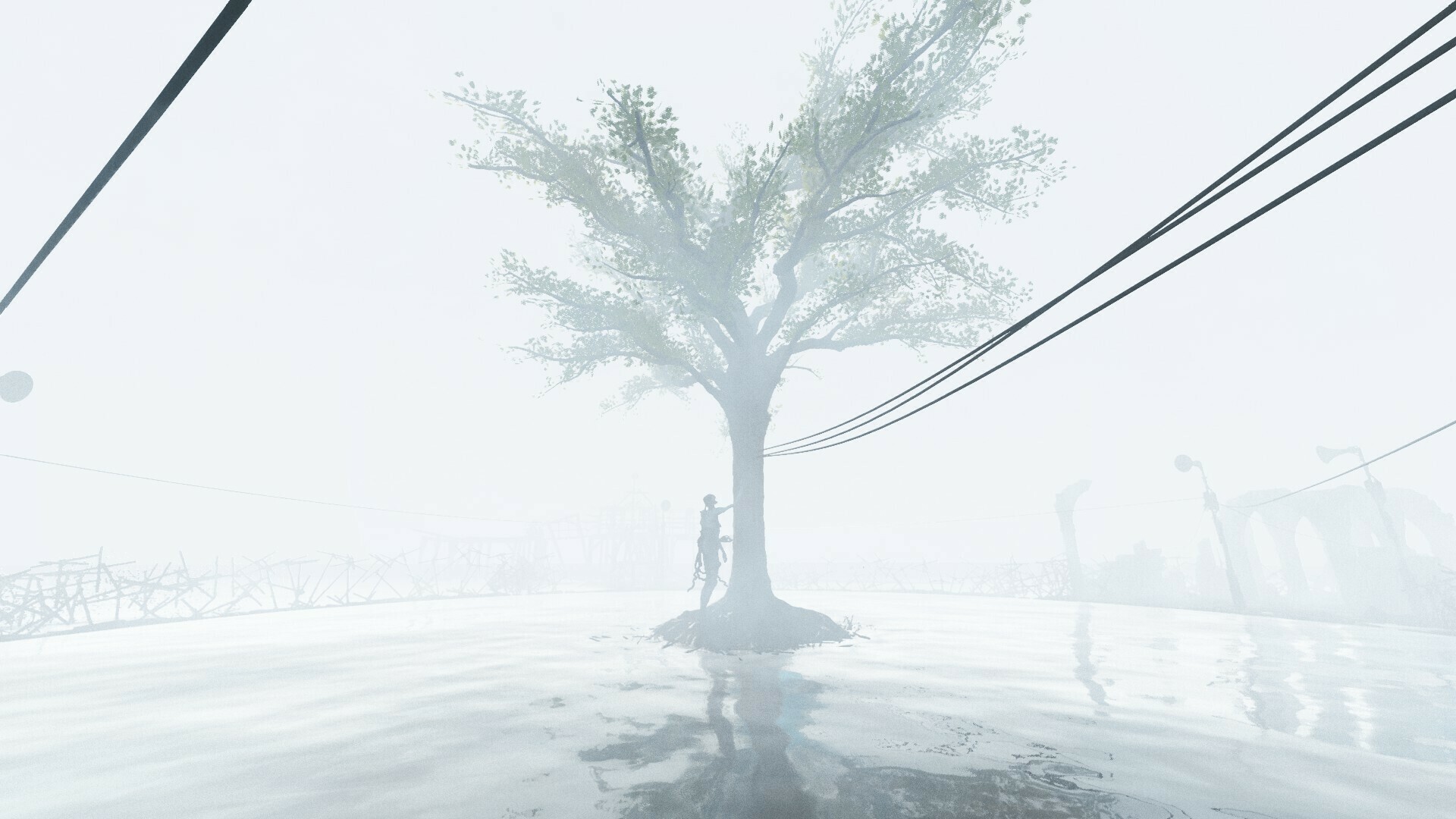 Full Size Image