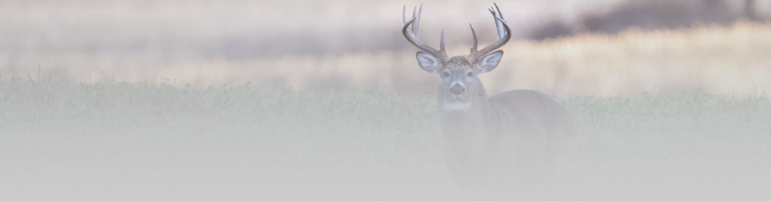 Redneck Deer Huntin’