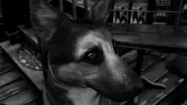 Screenshot 22