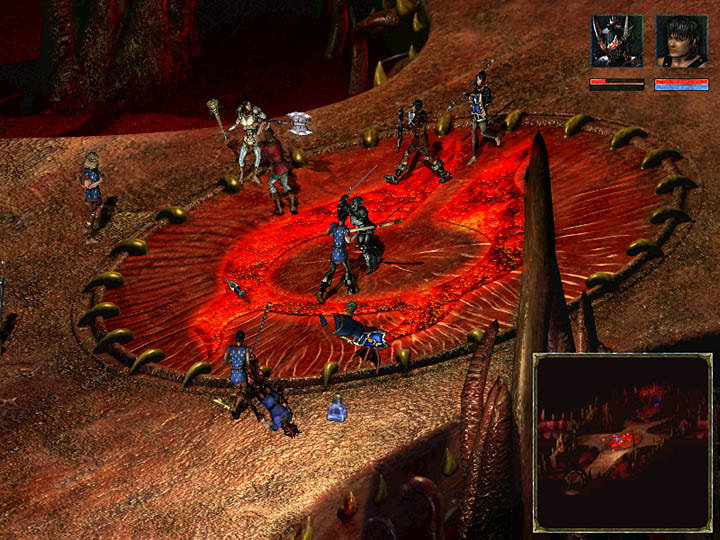 Beyond Divinity screenshot 3