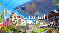 Купить ключ дешево Aquarist. Asian Fish DLC
