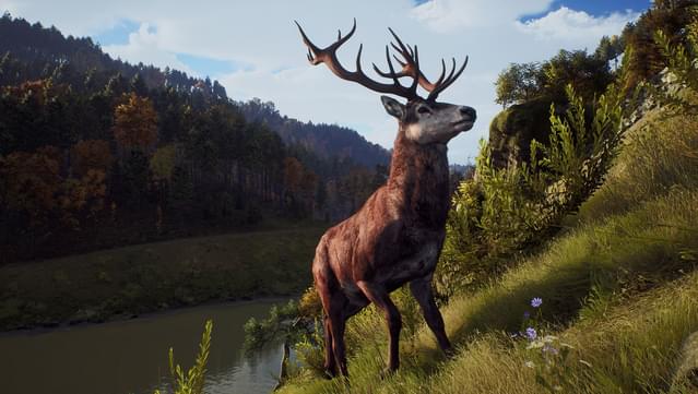 Way of the Hunter – Official Game Site