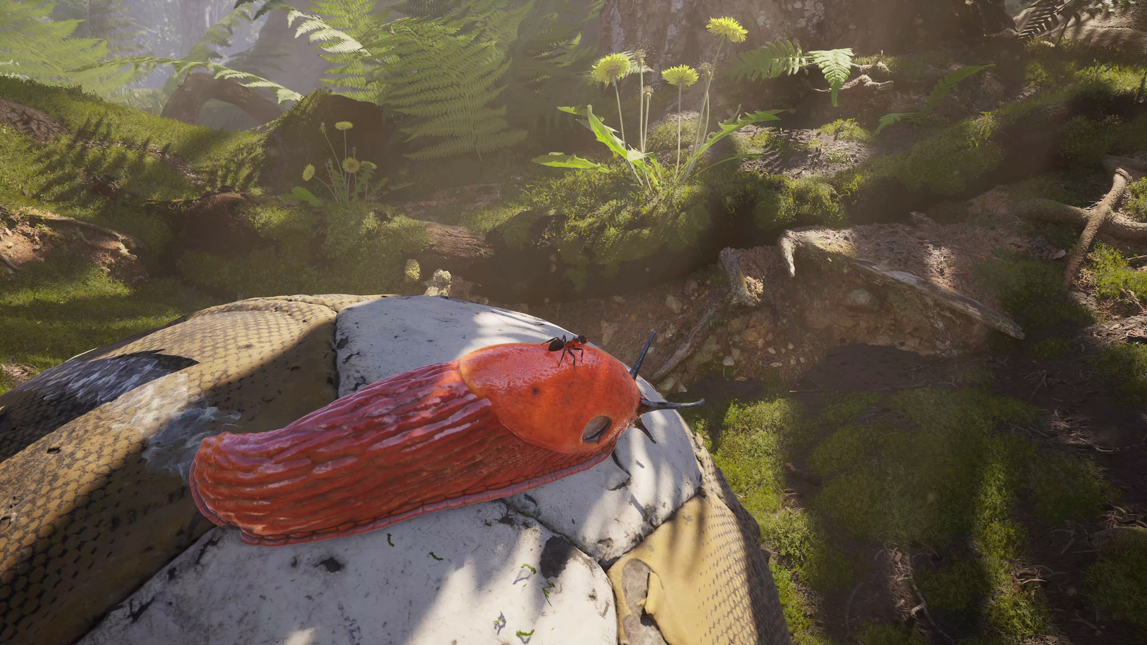 screenshot9
