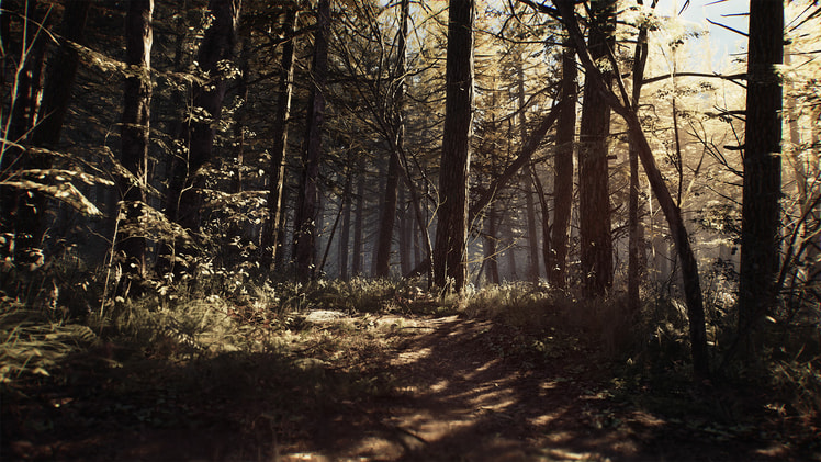 Blair Witch screenshot 2