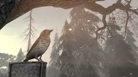 Screenshot 21