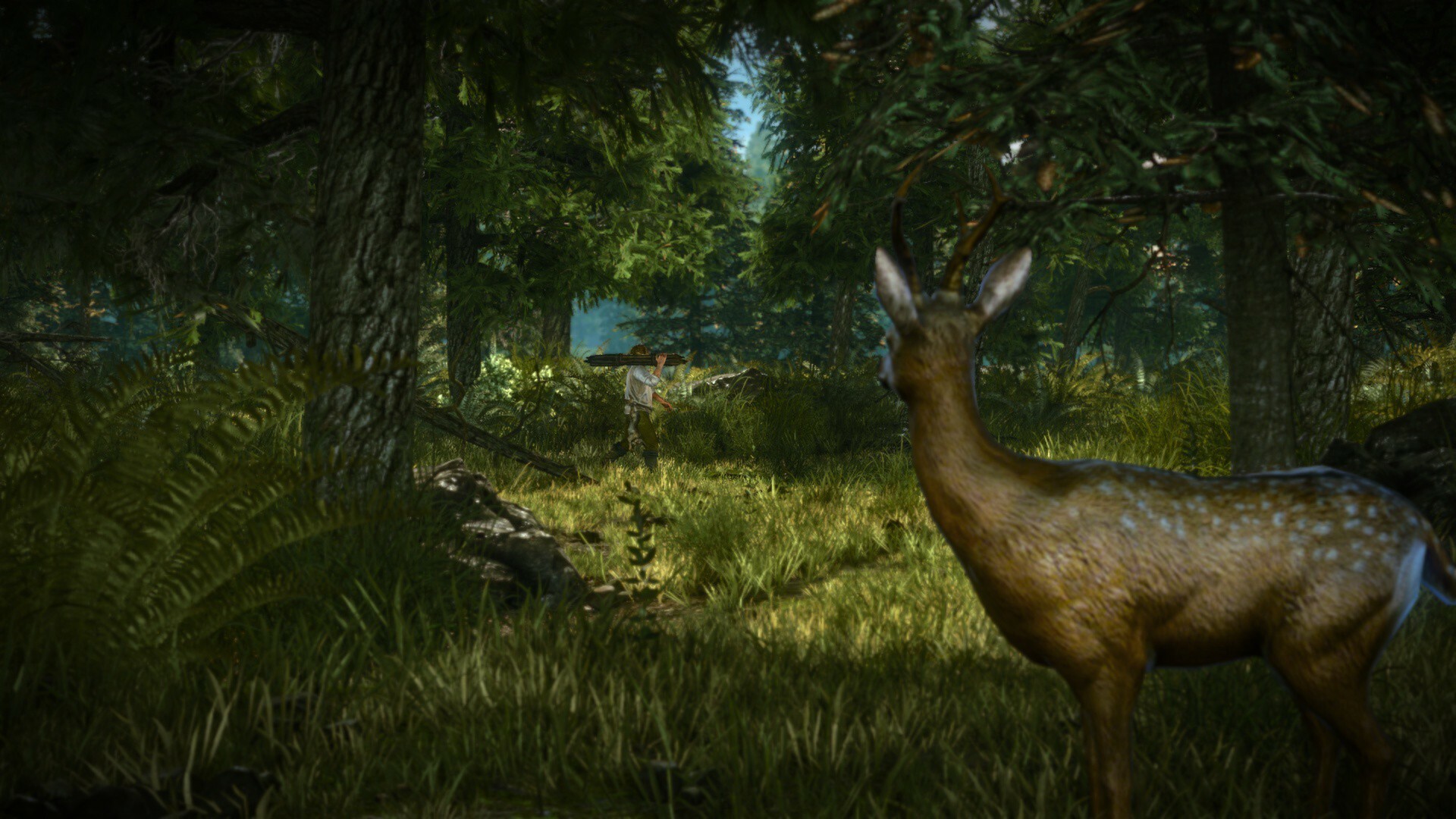 The Witcher 2: Assassins of Kings Enhanced Edition screenshot 3