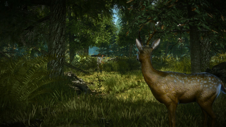 The Witcher 2: Assassins of Kings Enhanced Edition screenshot 2