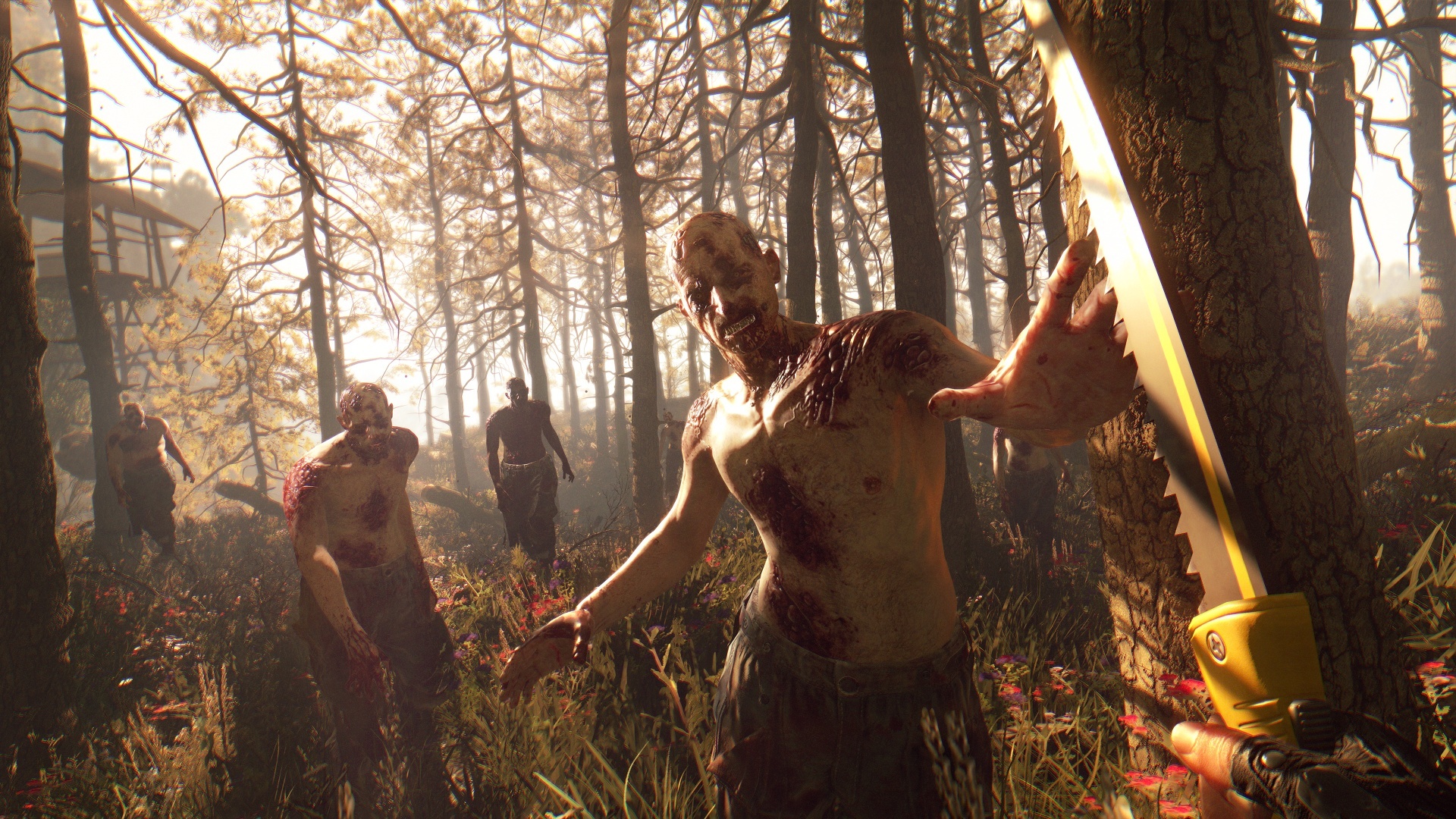 screenshot9