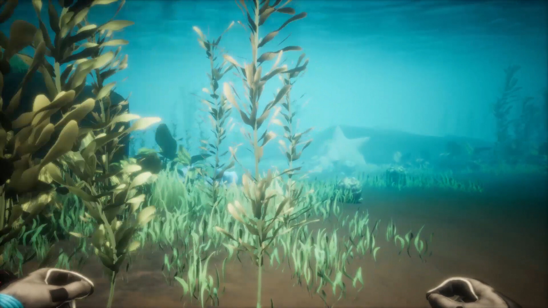 screenshot6