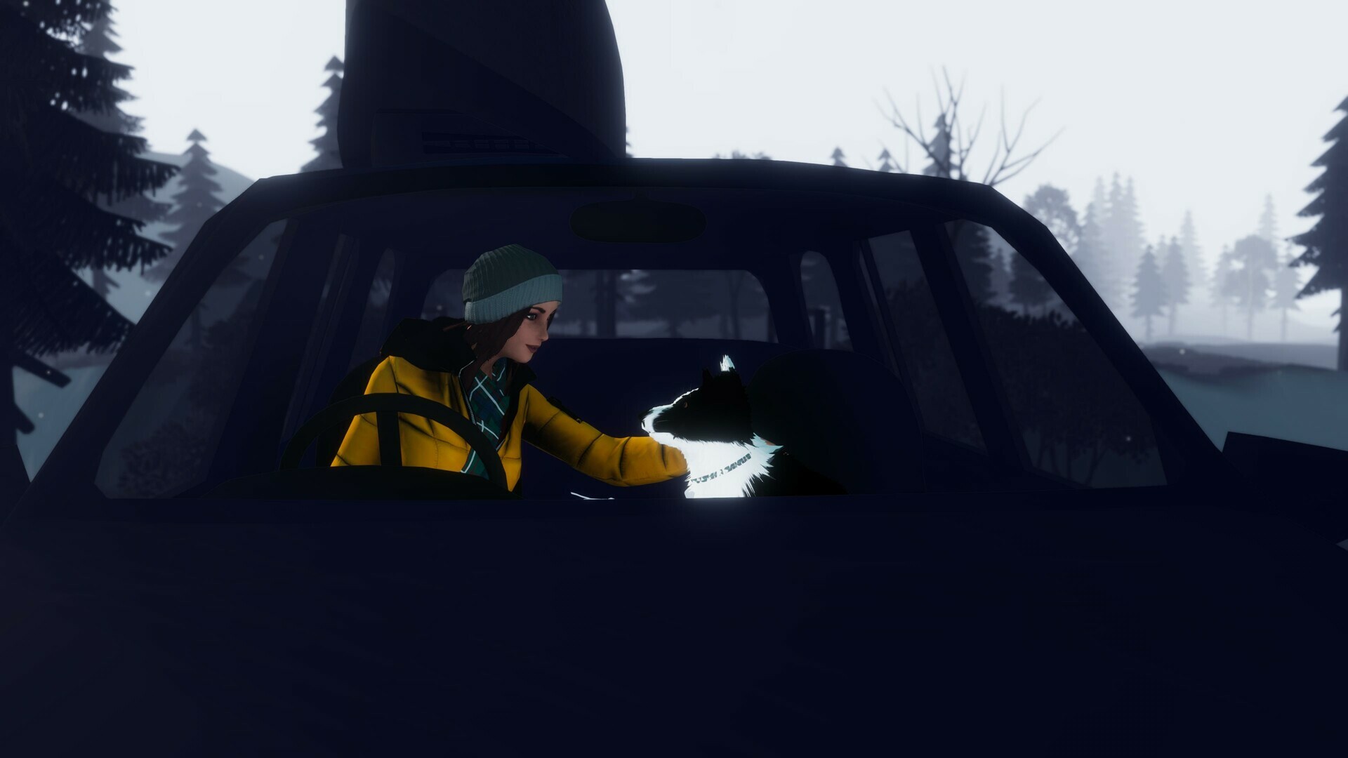 Full Size Image