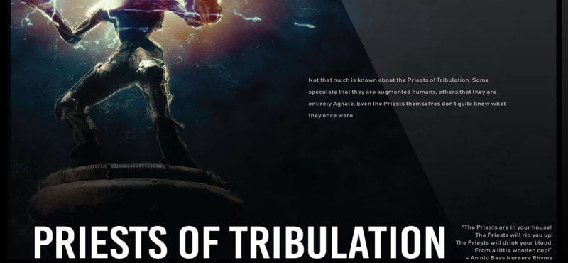BEAUTIFUL DESOLATION Supporter's Pack - image 1