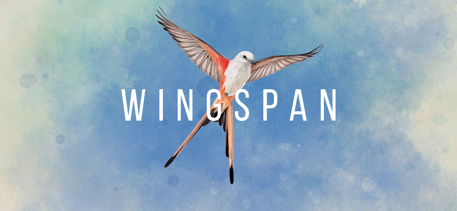 Wingspan banner