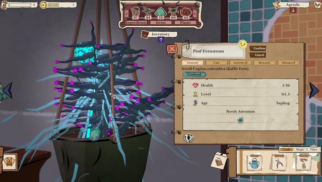 Greenhearth Necromancer