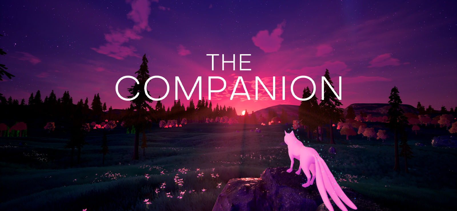 The Companion