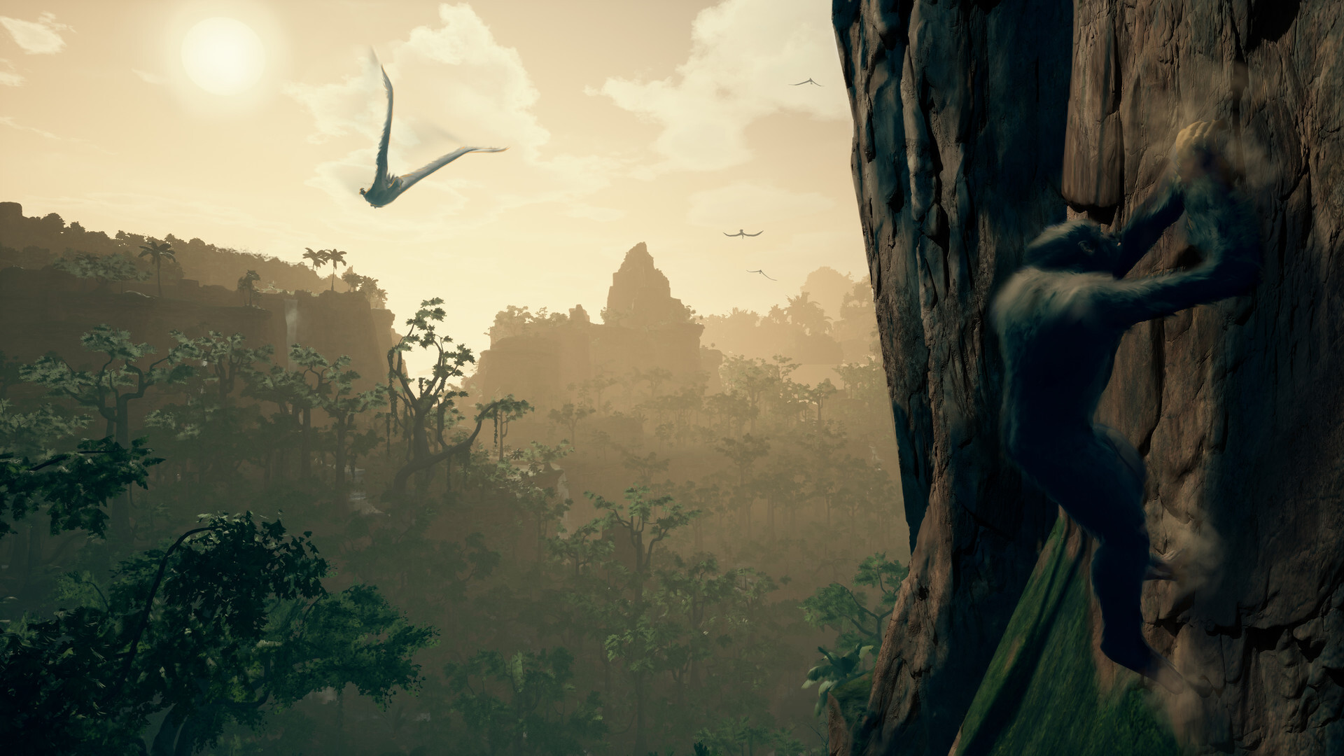 Full Size Image