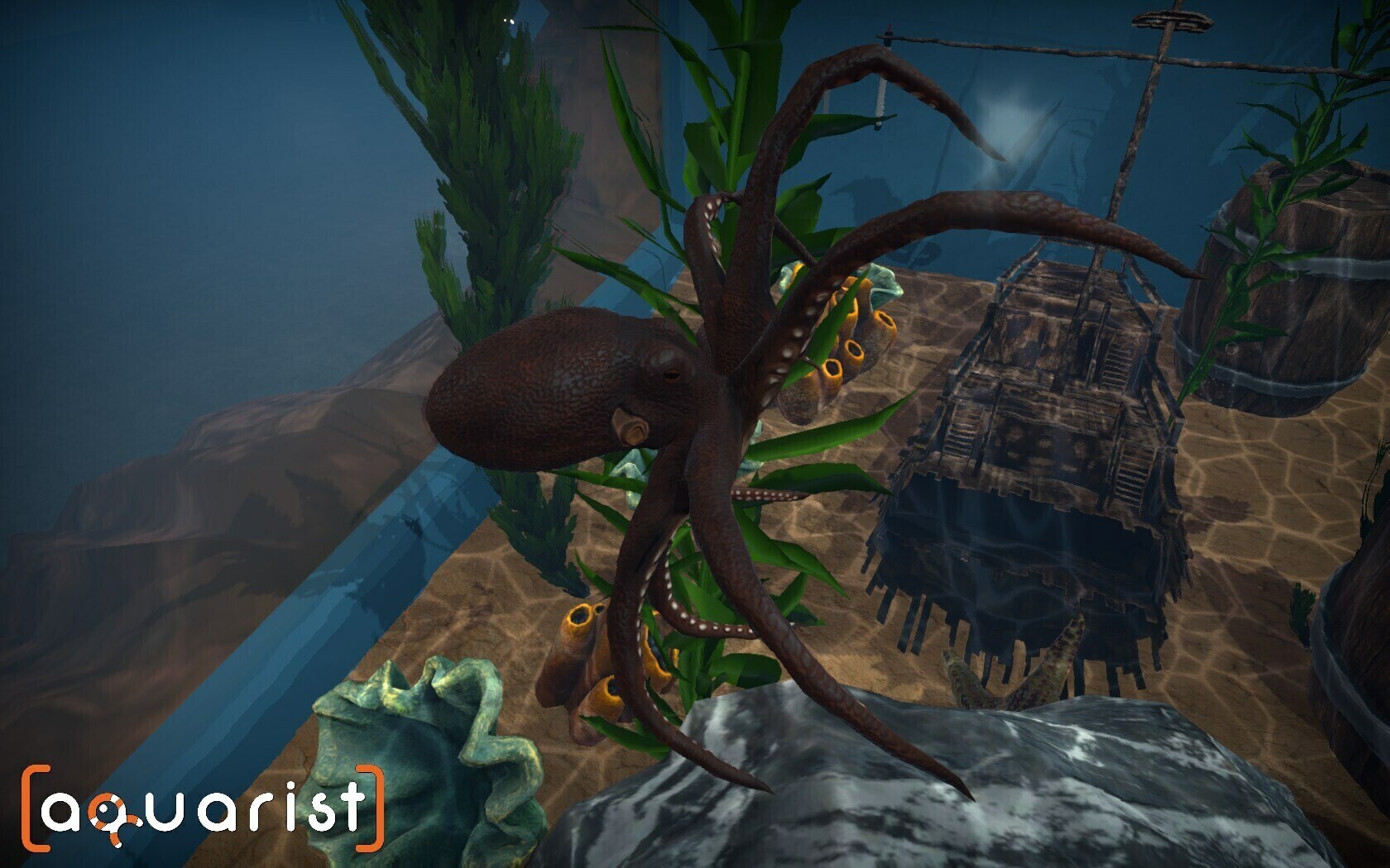 screenshot6