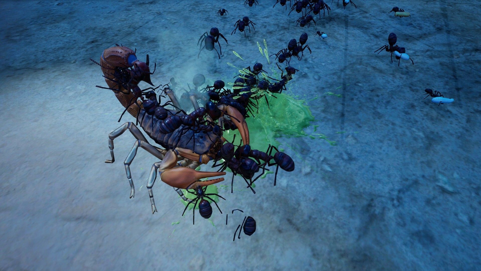 screenshot6