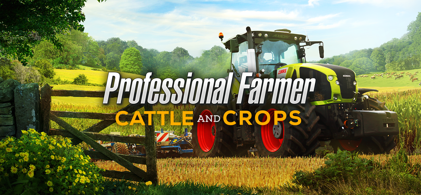 Professional Farmer: Cattle And Crops