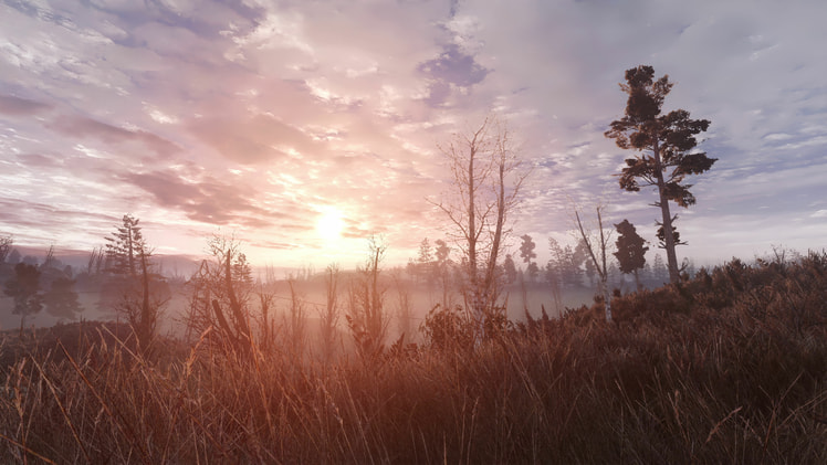 S.T.A.L.K.E.R. G.A.M.M.A. — 5