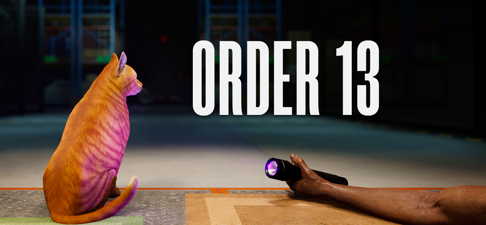 ORDER 13 banner