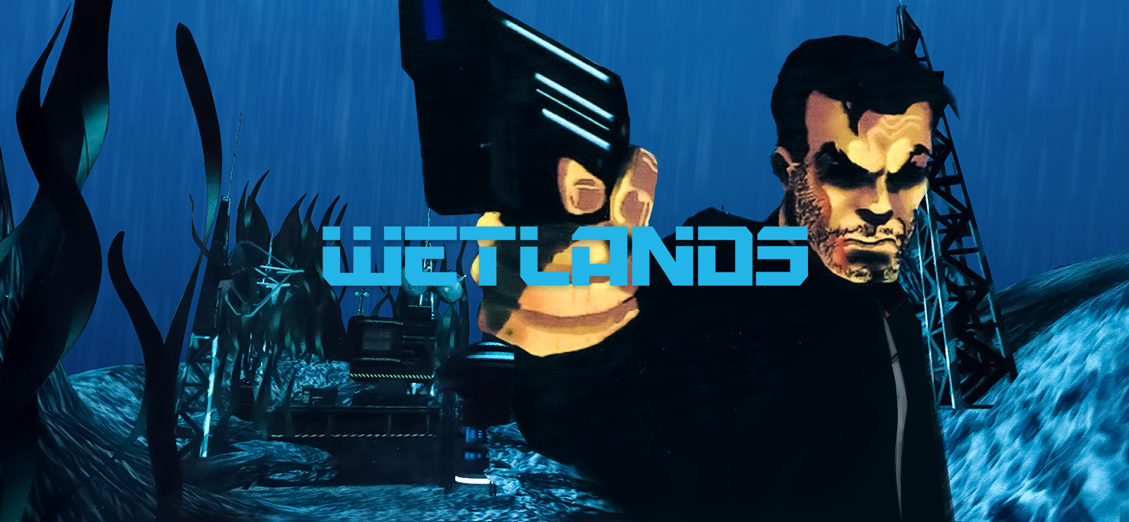 Wetlands banner