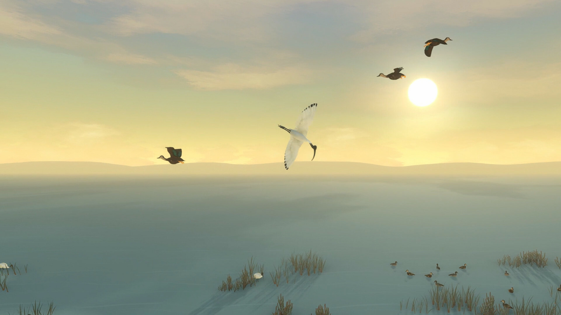 screenshot4