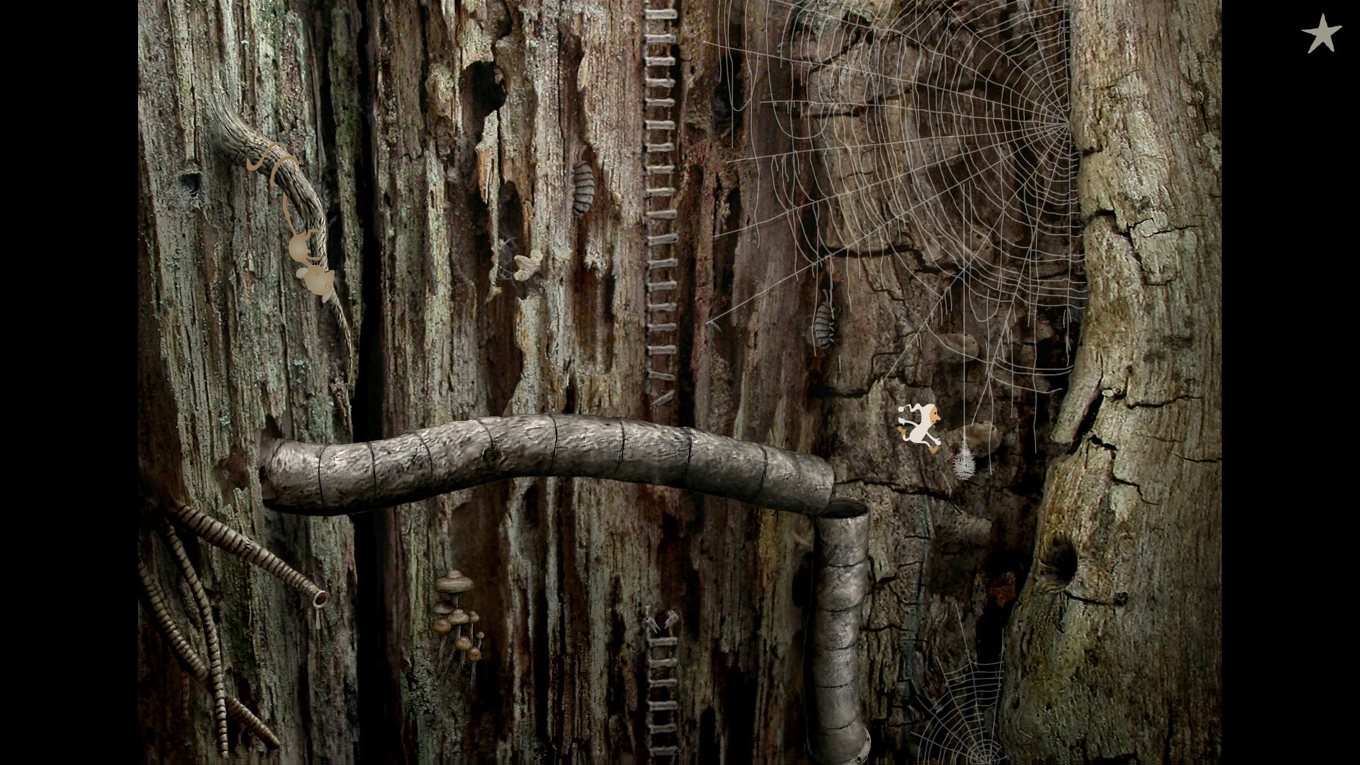 screenshot5
