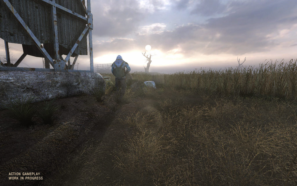 Full Size Image