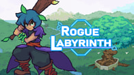 Купить ключ дешево Rogue Labyrinth