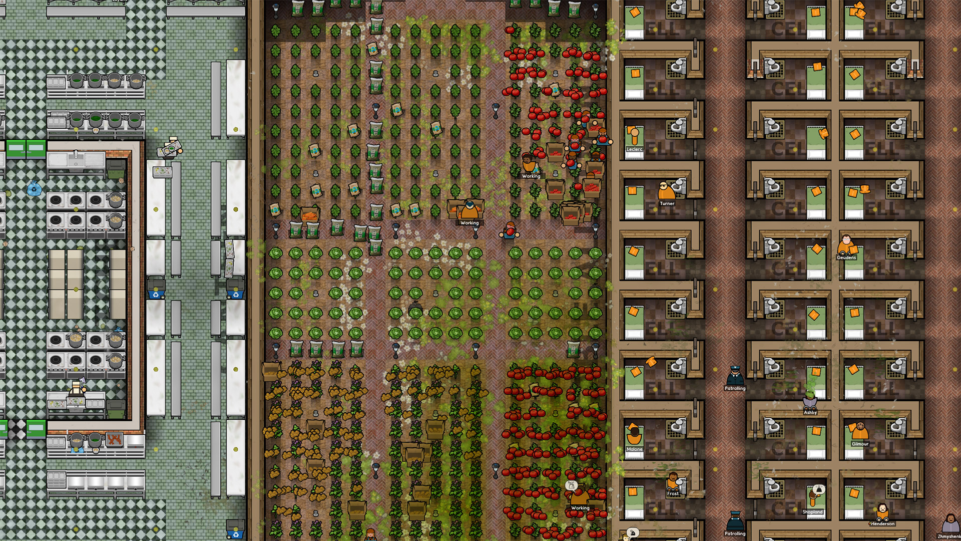 Full Size Image