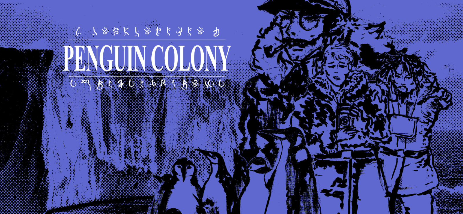 Penguin Colony