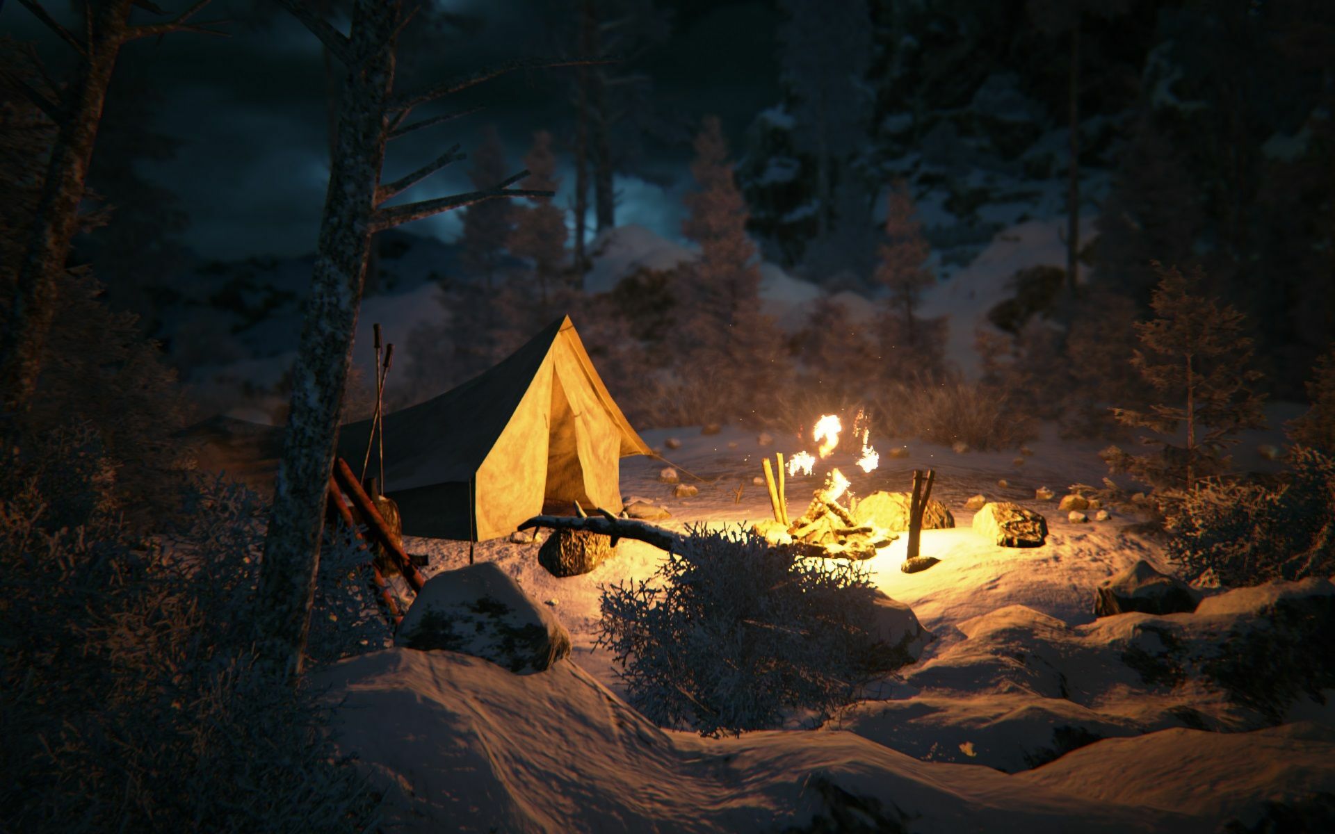 Full Size Image