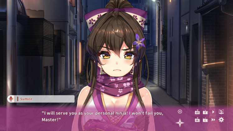 NinNinDays screenshot 4
