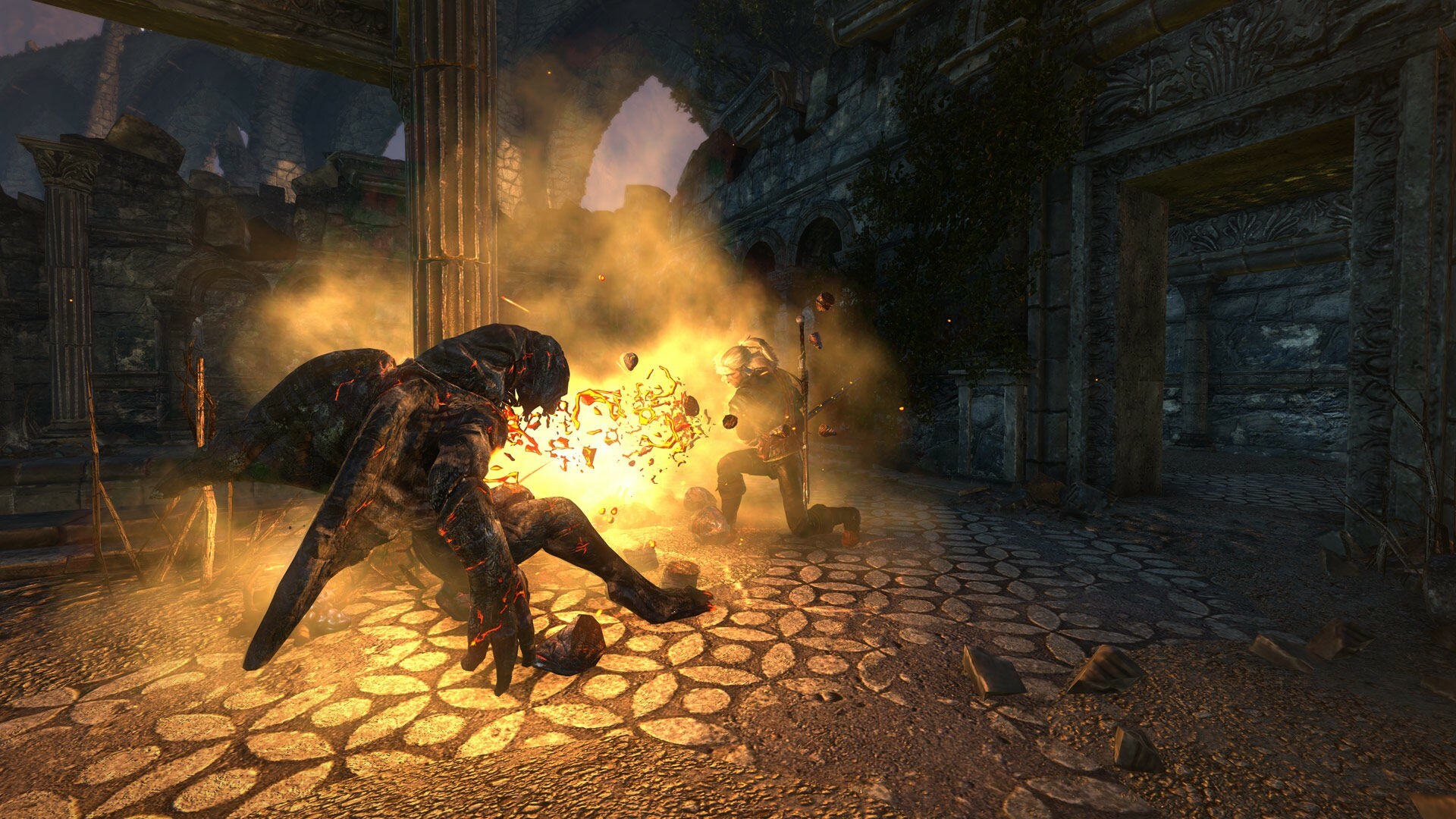 The Witcher 2: Assassins of Kings Enhanced Edition screenshot 17
